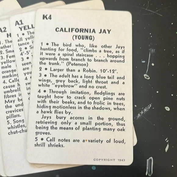 Traindex Colorful Birds of North America Cards - Picture 4 of 4